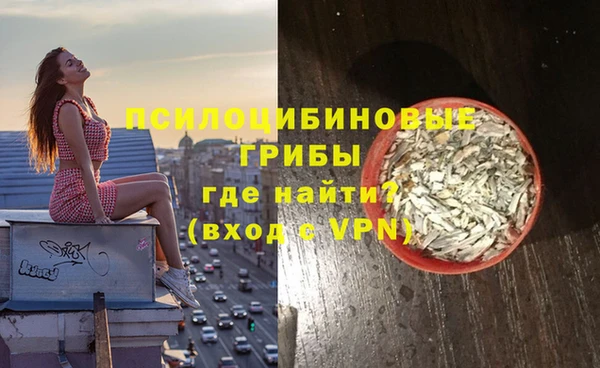 соль курить ск Алзамай