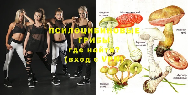 тгк Алексеевка