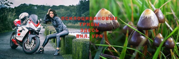 соль курить ск Алзамай
