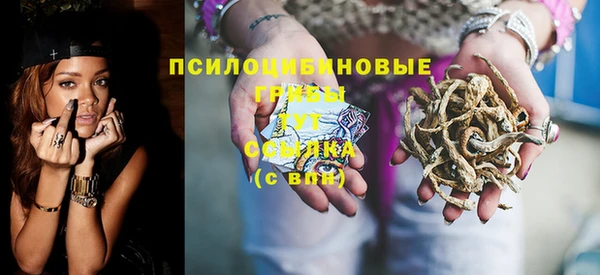 дурь Дмитров